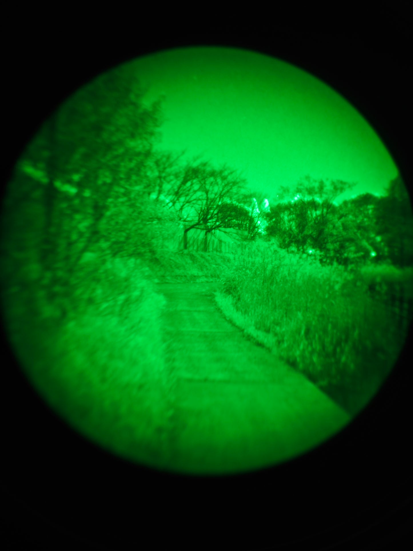 NV-PVS31-GREEN-NOAUTO - IMG_20251205_205323