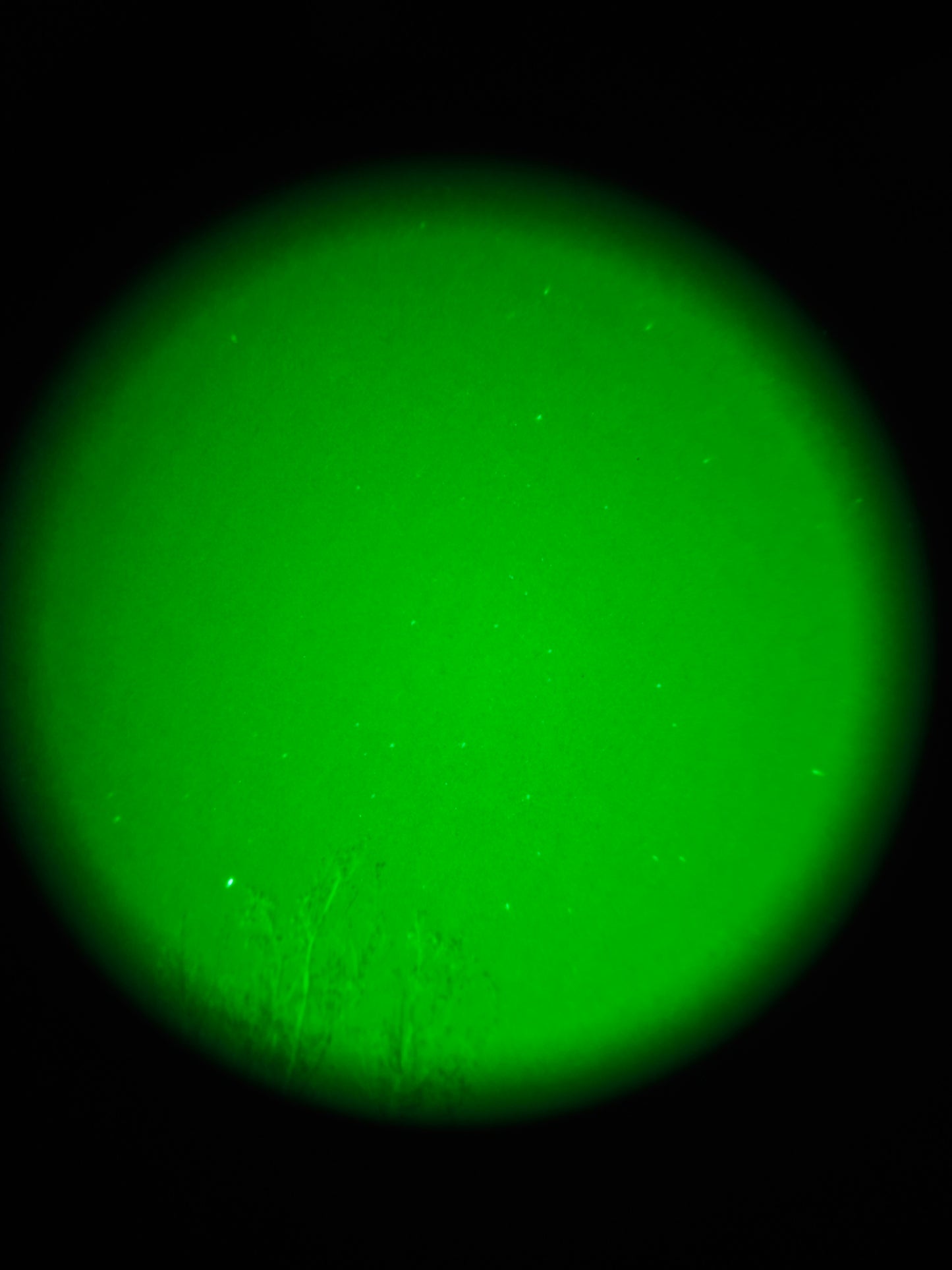 NV-PVS31-GREEN-NOAUTO - IMG_20251205_211436
