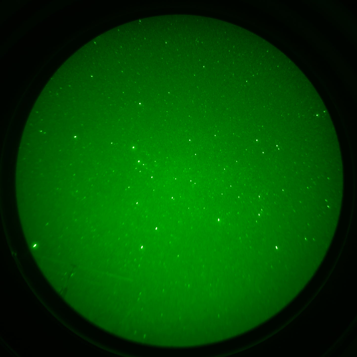 NV-PVS31-GREEN-NOAUTO - IMG_20260129_113121