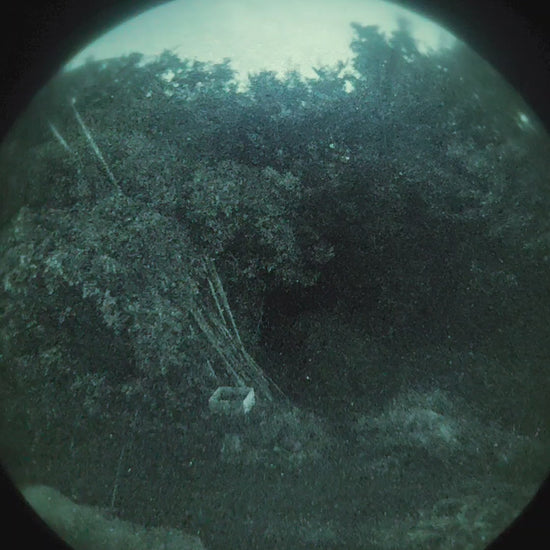 PVS-31 鍙岀溂銈般儶銉笺兂绠?- VID_20250921_024838