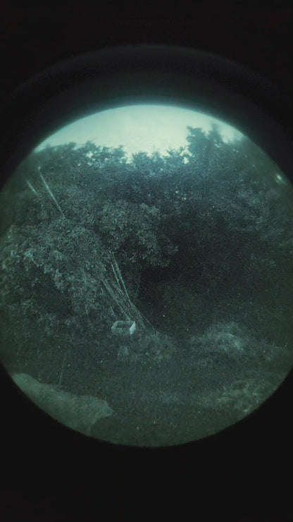 PVS-31 鍙岀溂銈般儶銉笺兂绠?- VID_20250921_024838